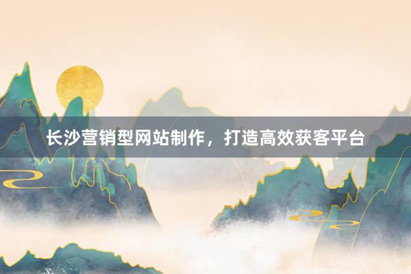 长沙营销型网站制作，打造高效获客平台